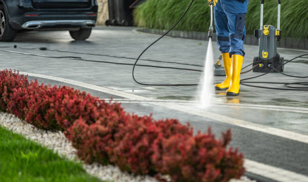 Best Roof Washing  in Winfield, MO